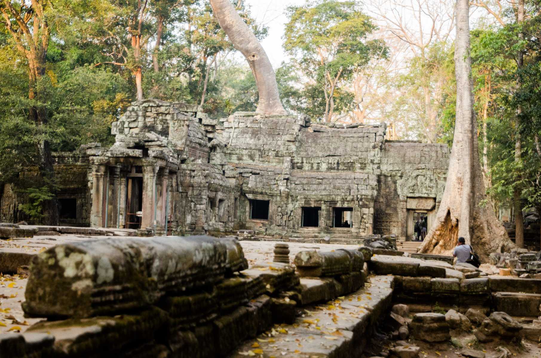 Cambodge - Angkor - Le temple de Ta Prohm, au pays d'Angkor