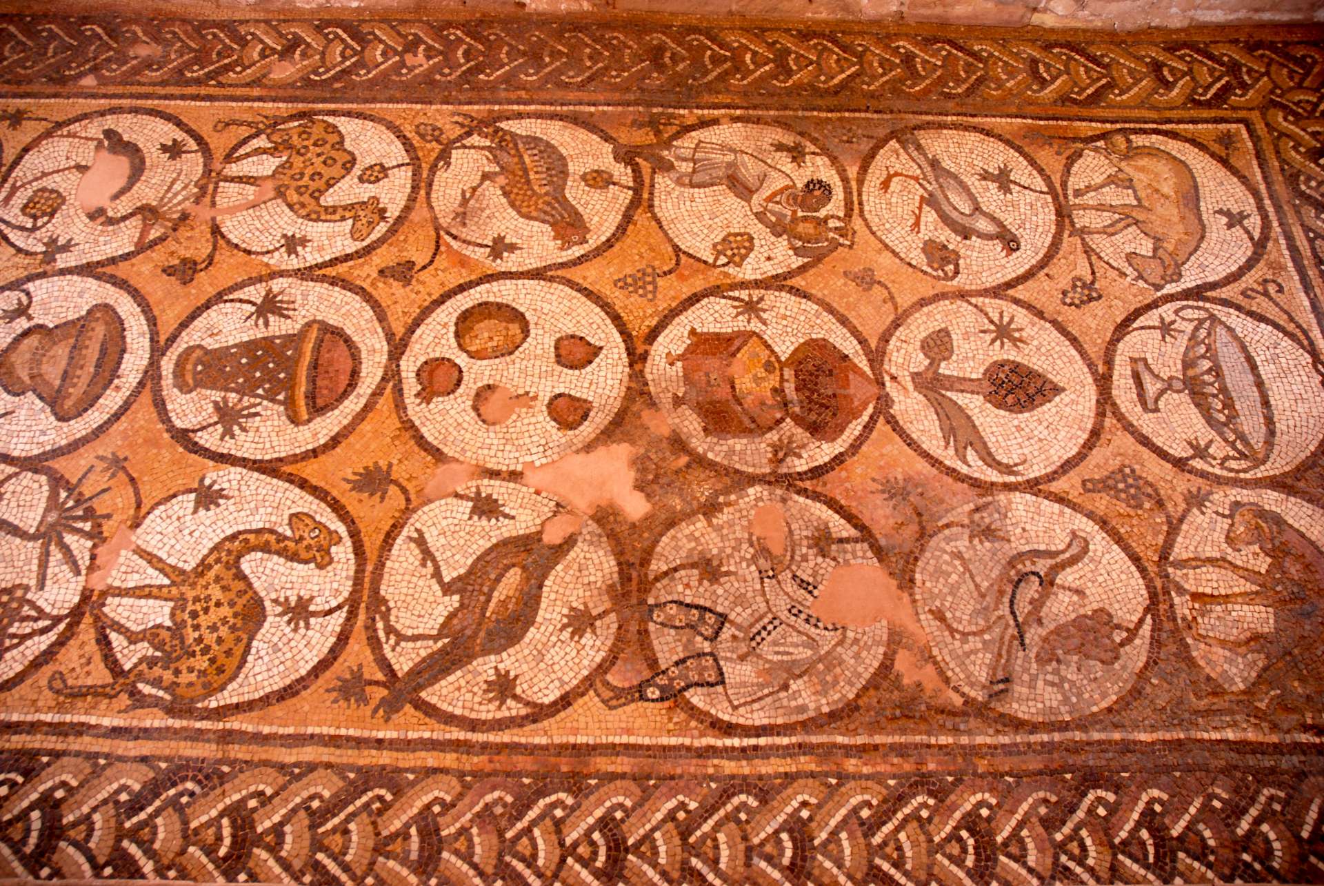 Jordanie - Petra - Les mosaïque de l'église byzantine de Pétra.