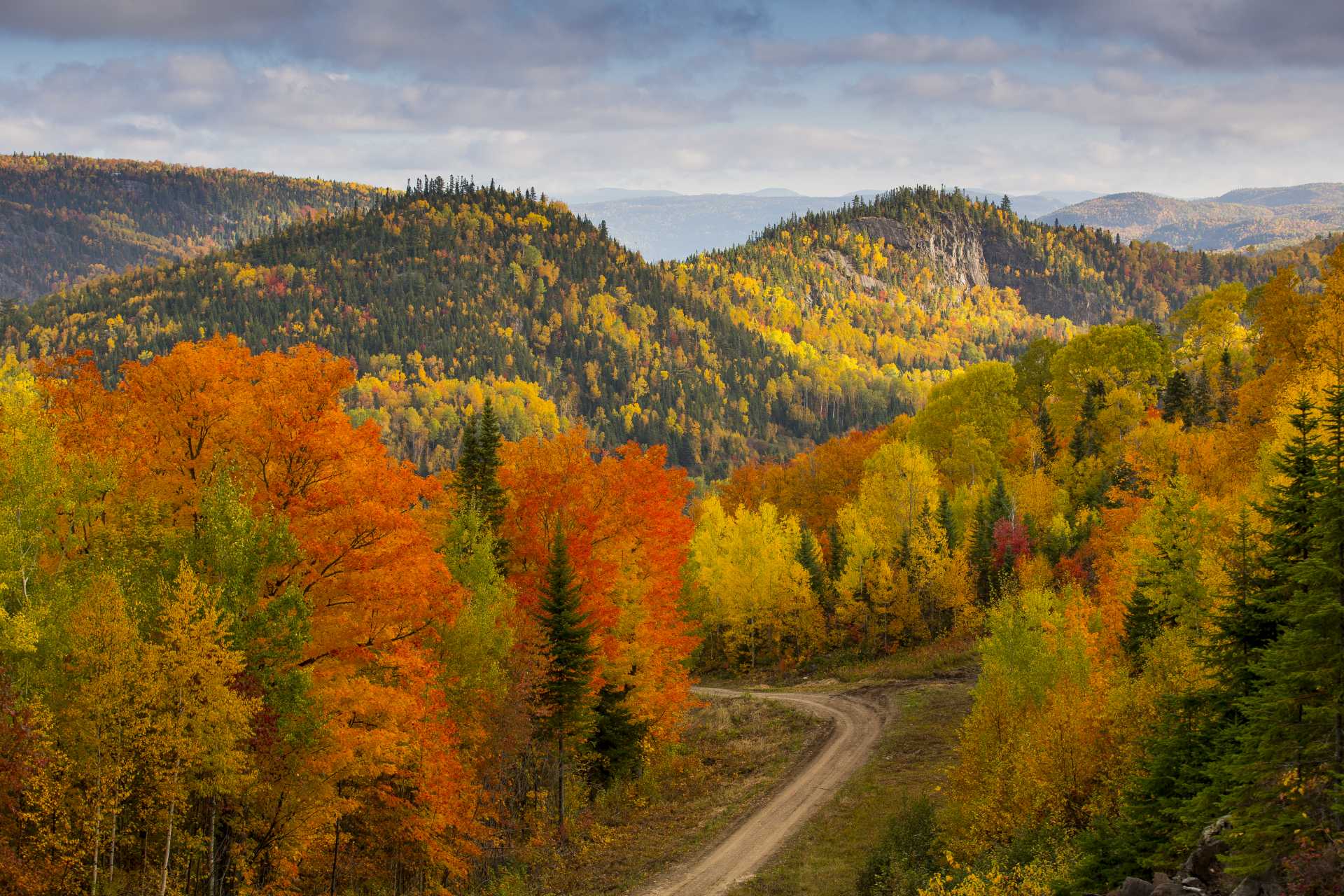 Canada Québec Saguenay - Les couleurs des étés indiens québécois aussi gouteuses que le sirop d’érable.