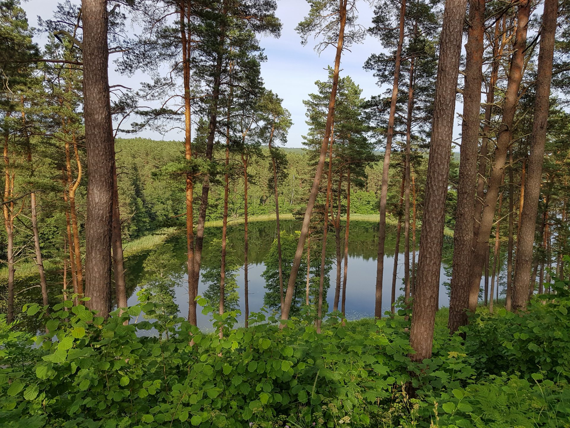 lituanie-parc-national-aukstaitija-lac-foret