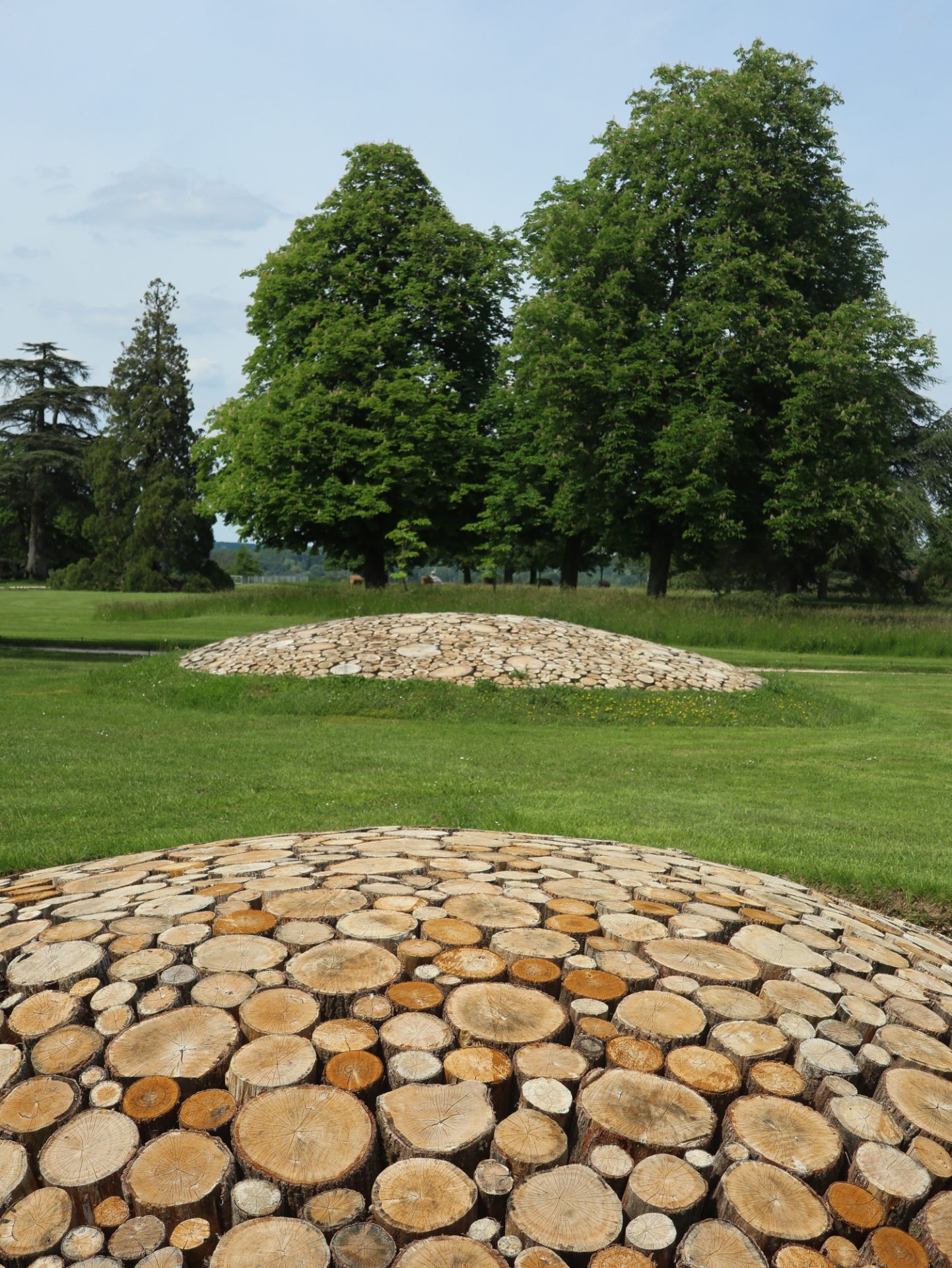 val-de-loire-domaine-chaumont-sur-loire-centre-art-et-nature-installation-armin-schubert