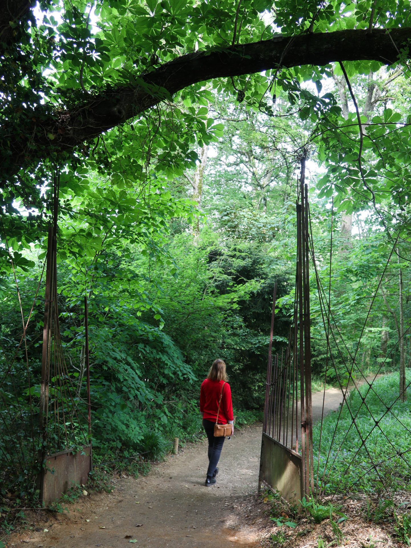 val-de-loire-domaine-chaumont-sur-loire-centre-art-et-nature-promenade-des-ombres