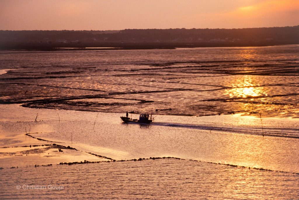france-charente-maritime-oleron-bassins-affinage-ostreiculture-photo-christian-goupi