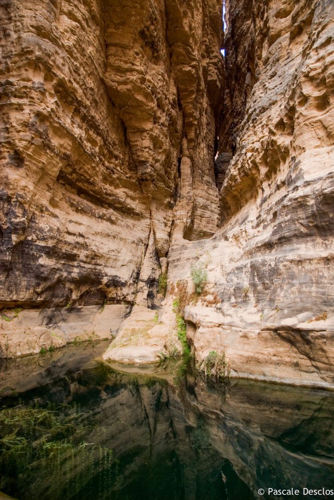 Guelta ou résurgence d'eau dans le canyon d'Essendilène, parc national du Tassili N'Ajjer, sud Algérie