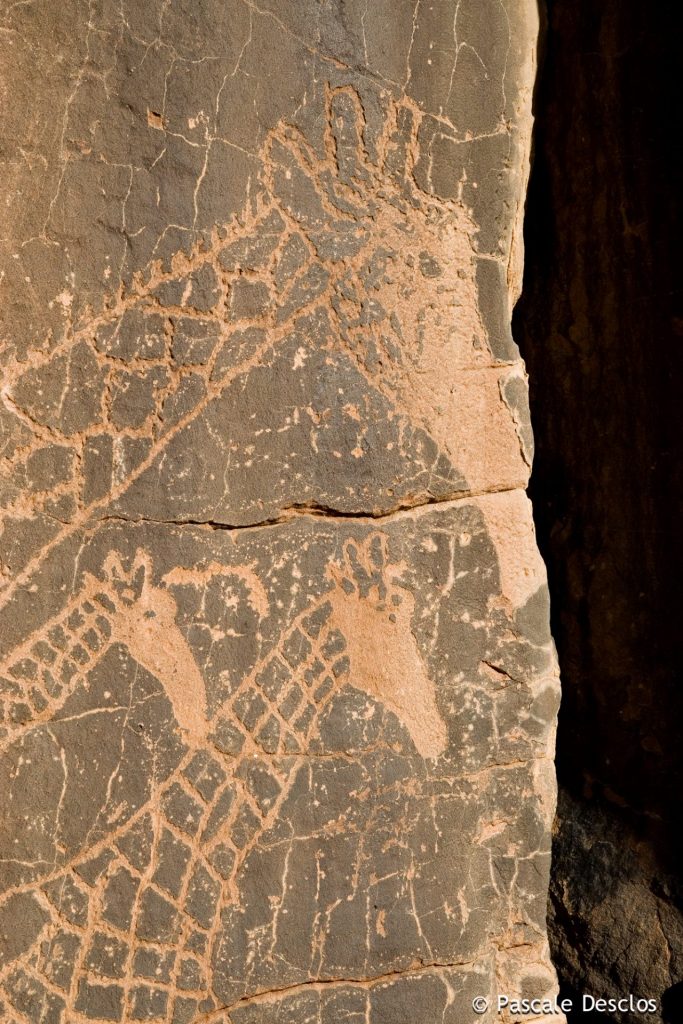Gravure rupestre de girafes, néolithique, dans le parc national du Tassili N'Ajjer, sud Algérie