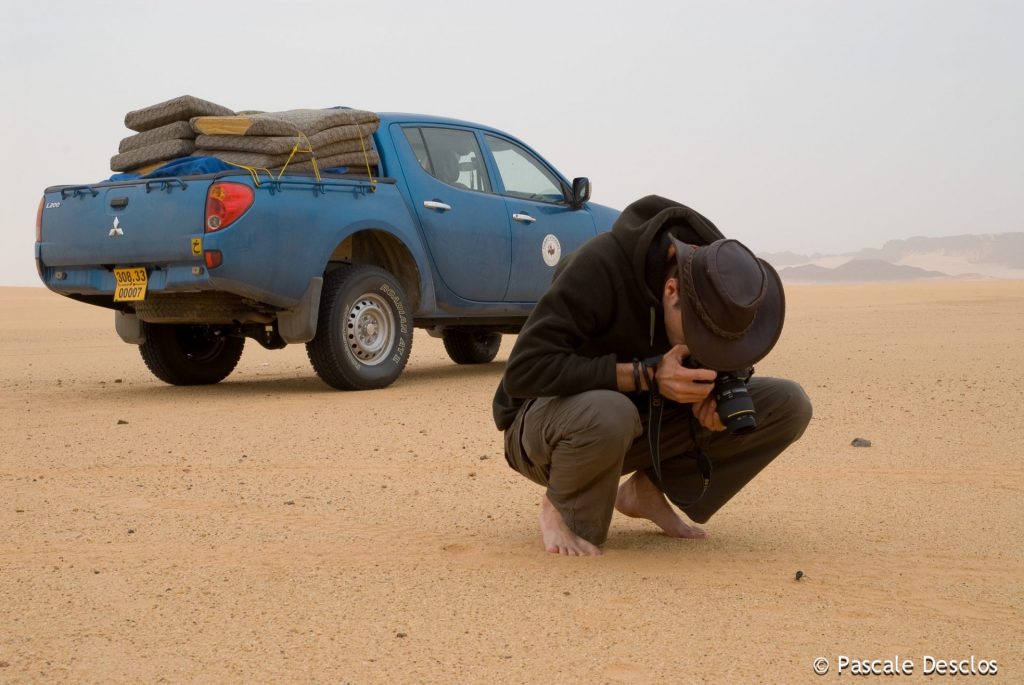 Chasse au scarabée dans le massif de la Tadrart rouge, Tassili N'Ajjer, sud Algérie
